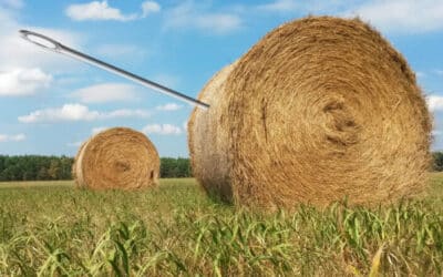 Conveyancer Public Relations – Don’t be a needle in the haystack!
