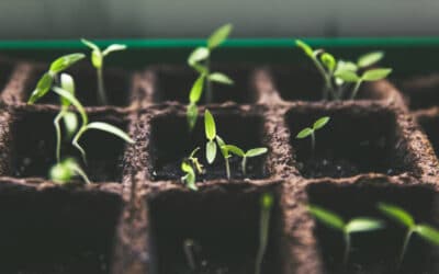 How to Measure the ROI of Your Real Estate PR Campaign